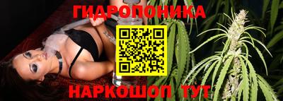 mix Брянск