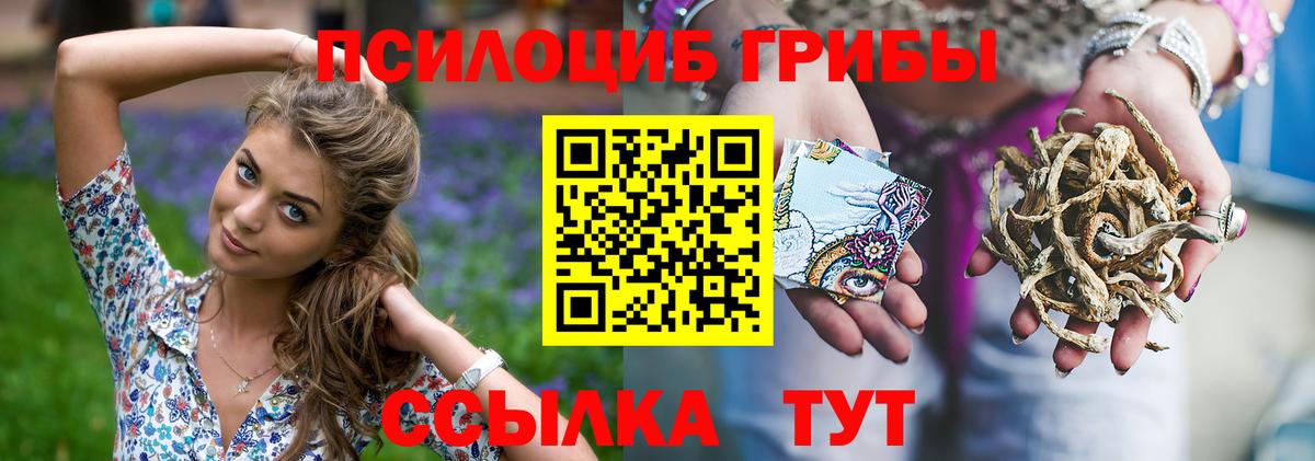 Псилоцибиновые грибы ЛСД Вольск