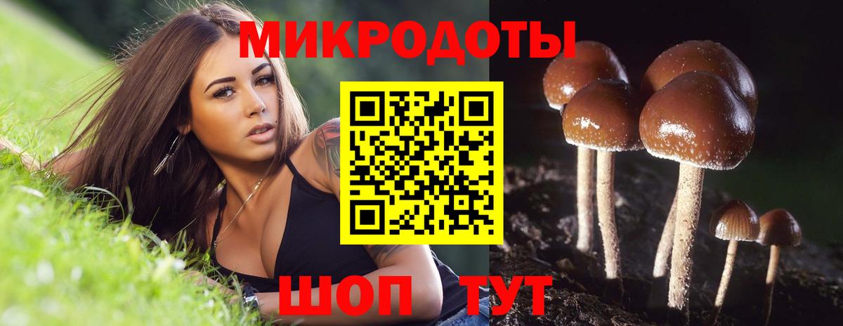 Галлюциногенные грибы Psilocybe  Псилоцибиновые грибы GOLDEN TEACHER  Вольск  Вход с VPN 